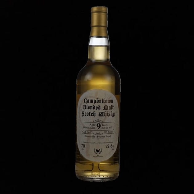 第十二章-Campbeltown