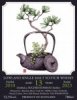 <完售>Auchentoshan 2010/2023 13Yo-Bar Bacchus