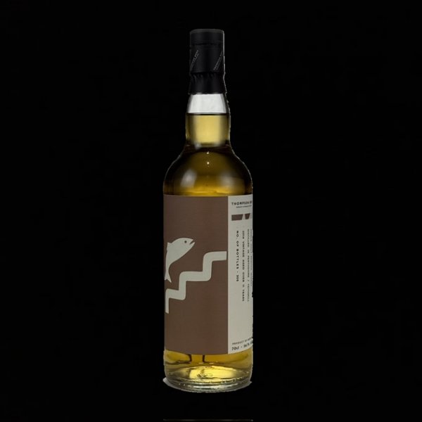 Teithmill 2014/2025 11Yo
