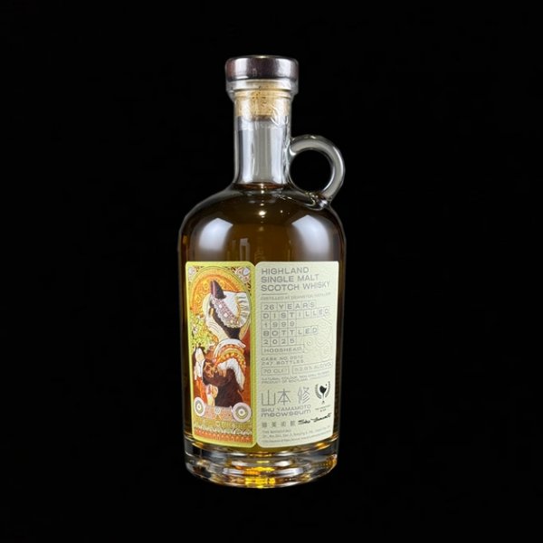 沙灘上的冬青貓